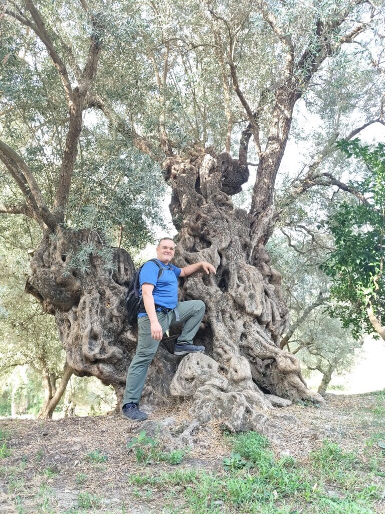 Ruta de los Olivos Centenarios, Órgiva