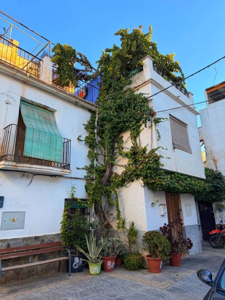 Calle del Barrio Alto de Órgiva